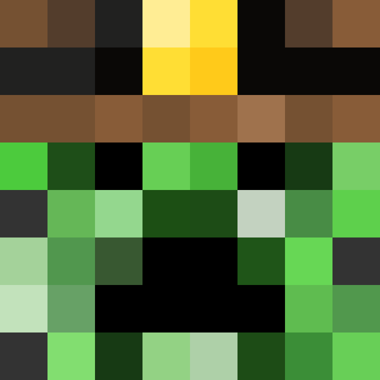 xX_No_Income_Xx's skin