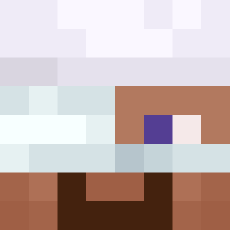 BukkitAPI's skin