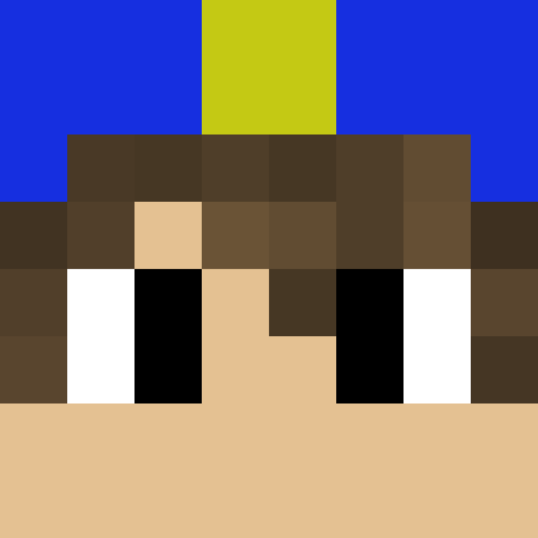 xX_No_Income_Xx's skin