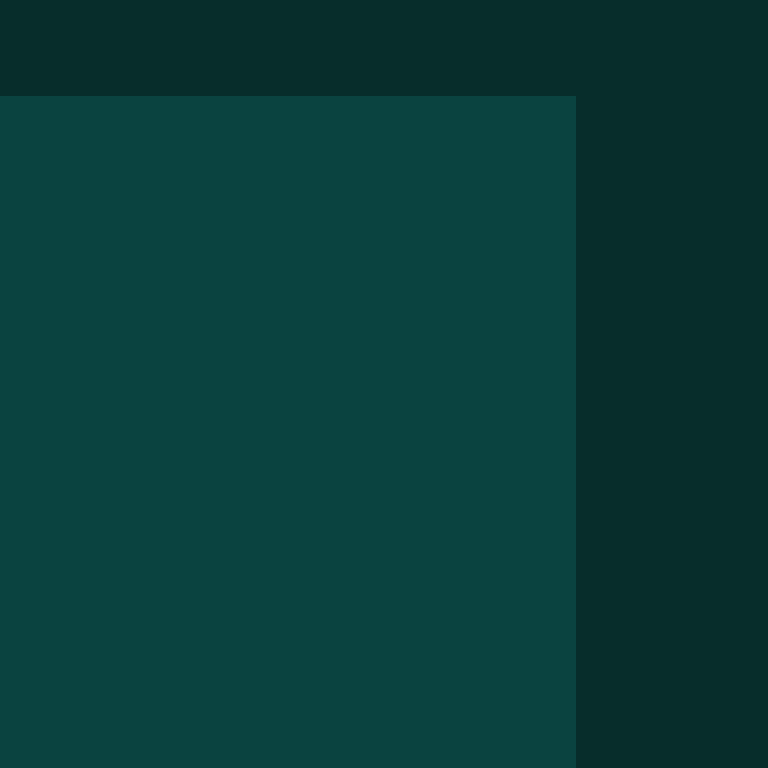 acin5's skin