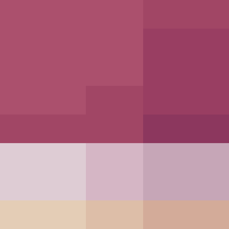_pakman_'s skin