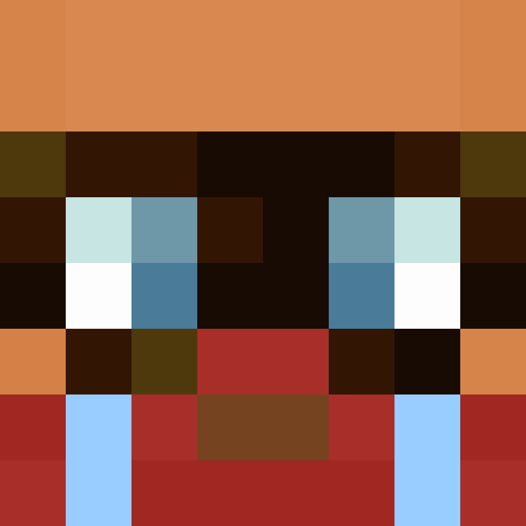 deminecrafterlol's skin