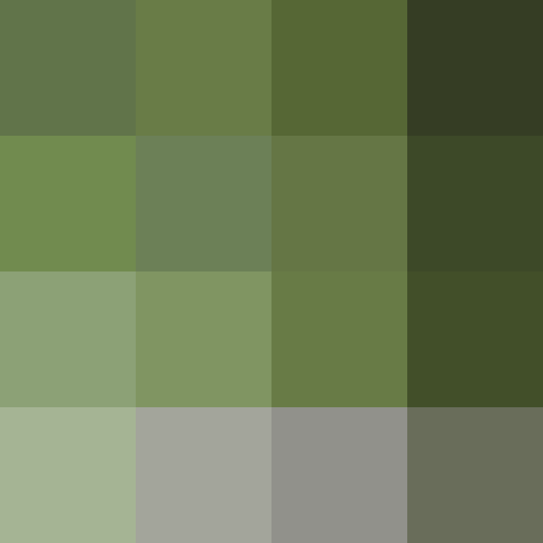 Typken's skin