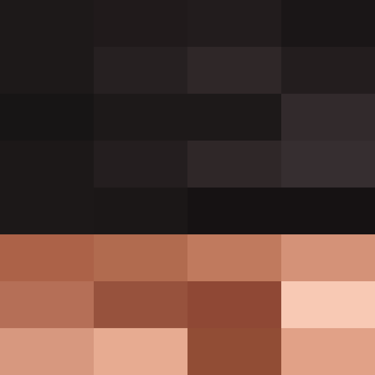 acin5's skin
