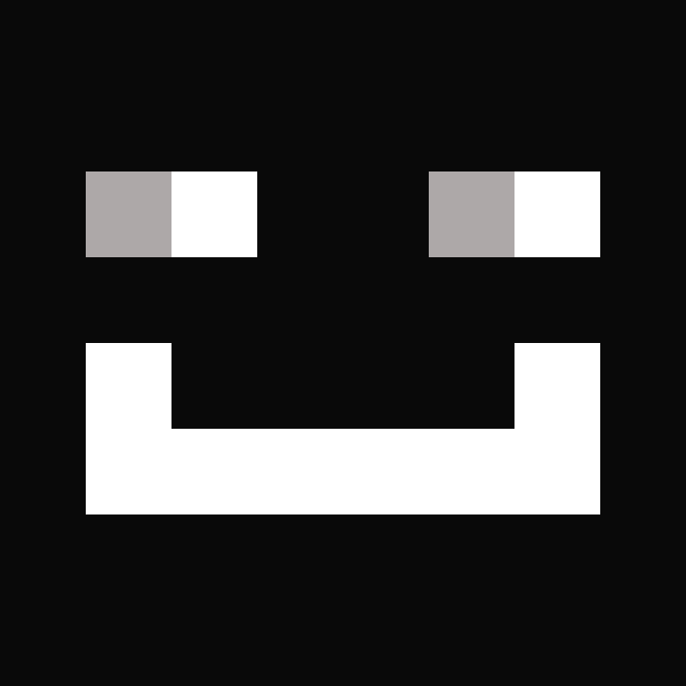 BukkitAPI's skin