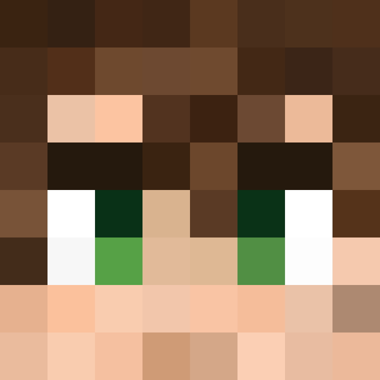 xX_No_Income_Xx's skin