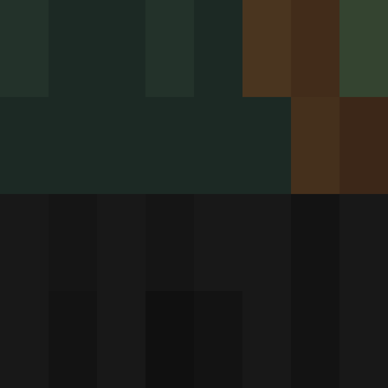 Auntbrix's skin
