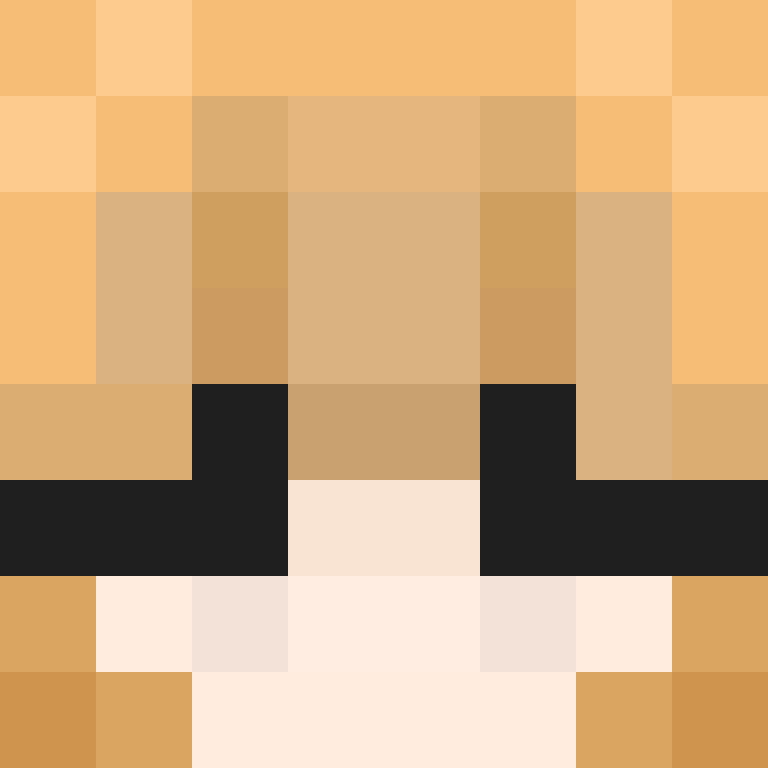 xX_No_Income_Xx's skin