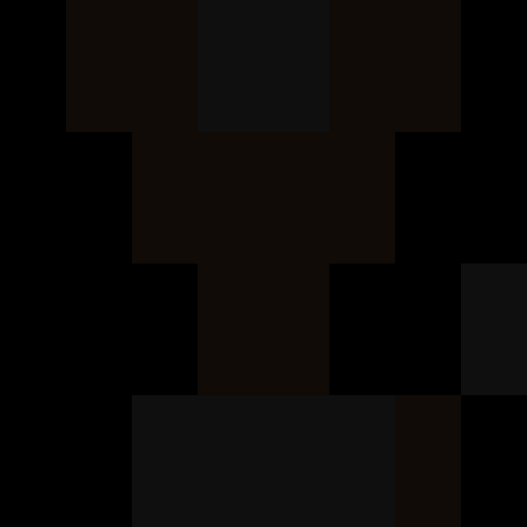 acin5's skin