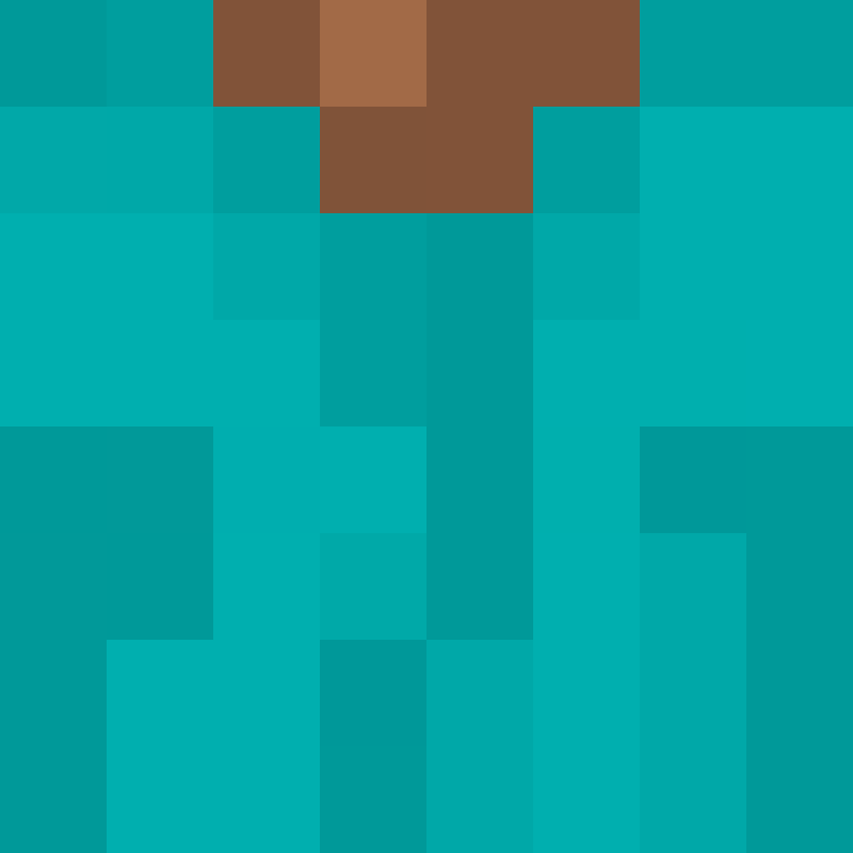 deminecrafterlol's skin