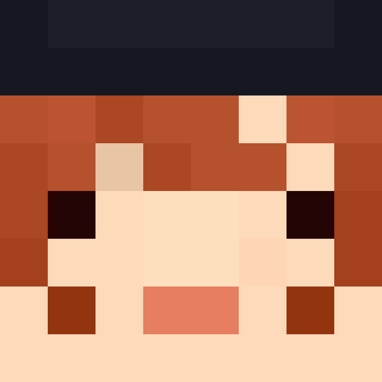 BukkitAPI's skin