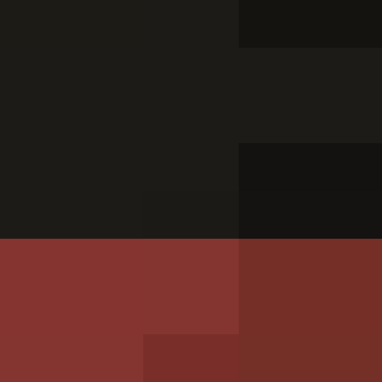 ElectronicSex's skin