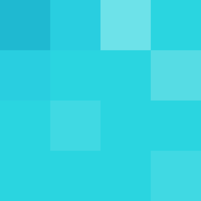 MHF_Mineskin's skin