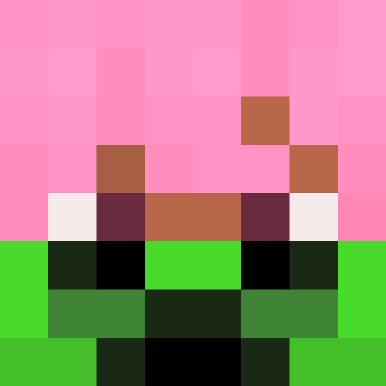 deminecrafterlol's skin