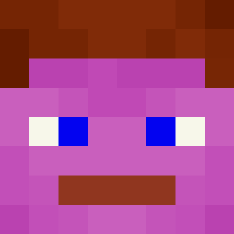 deminecrafterlol's skin