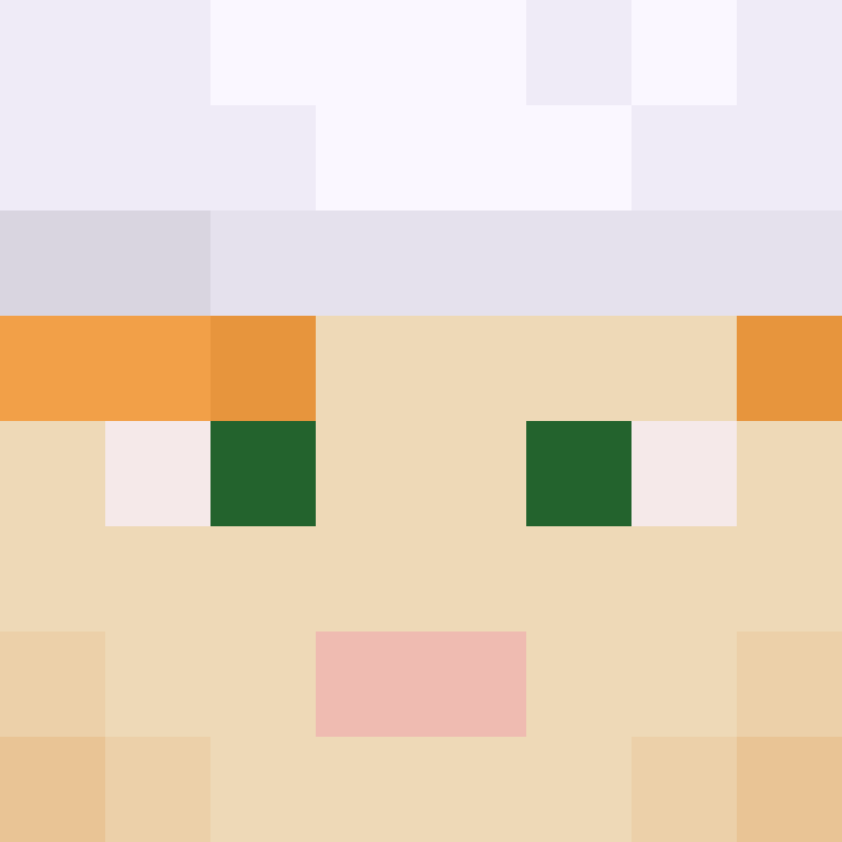 deminecrafterlol's skin