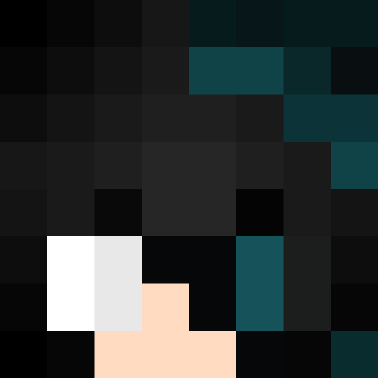 deminecrafterlol's skin