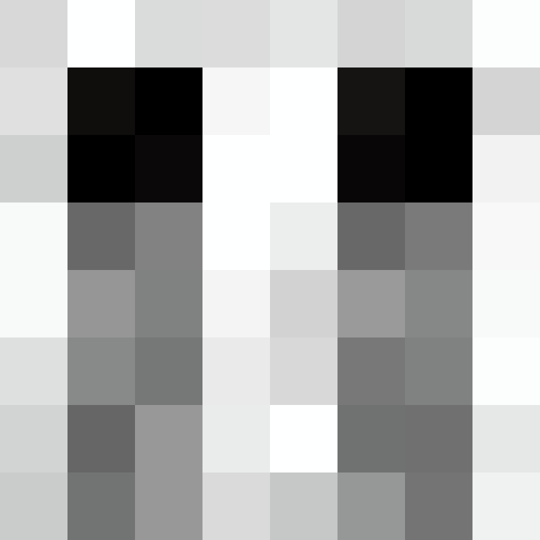 GeyserMC's skin