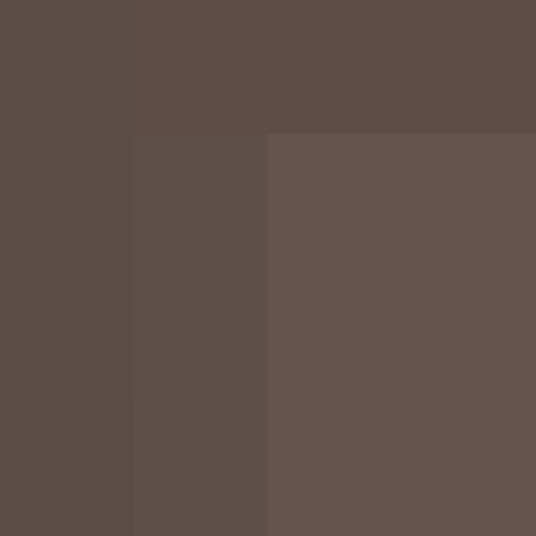 BradBot_2's skin