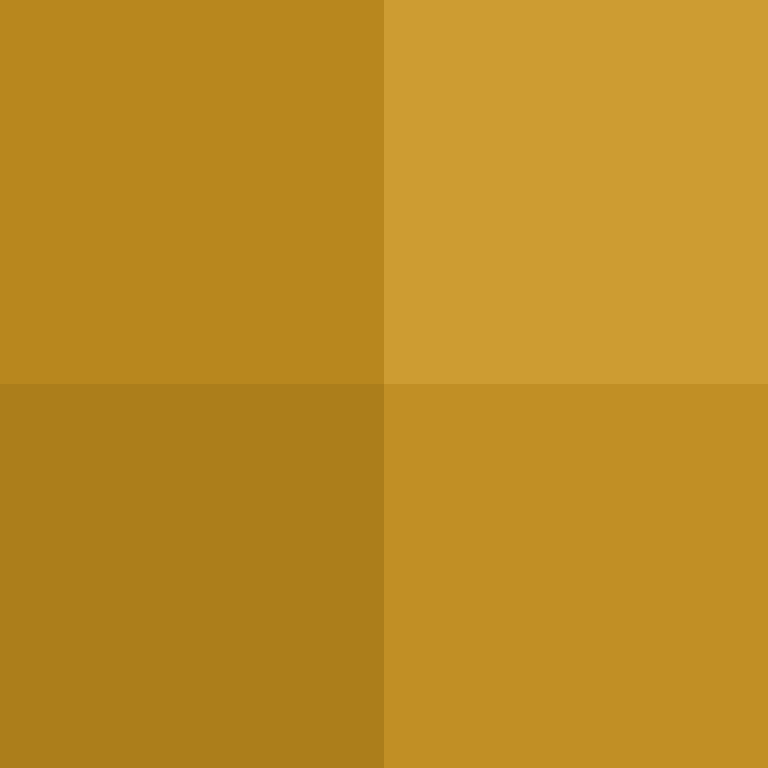 AirplaneGoBrr's skin