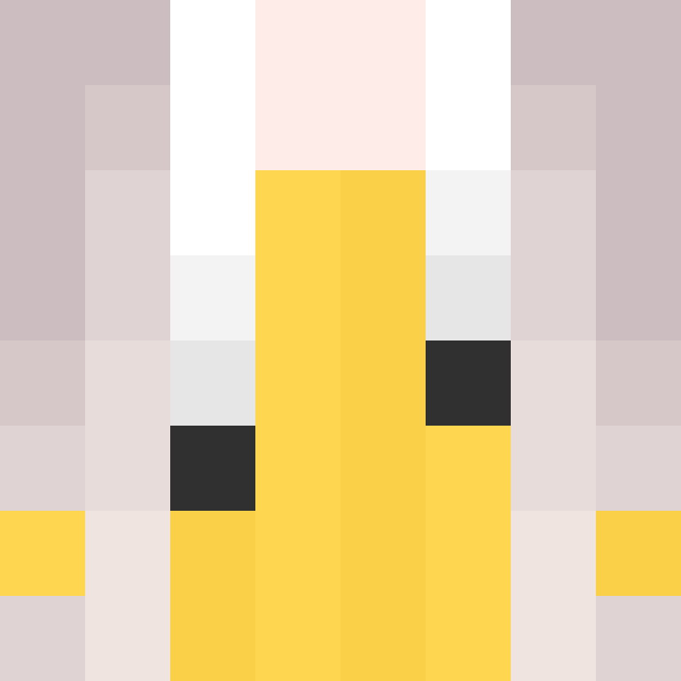 deminecrafterlol's skin