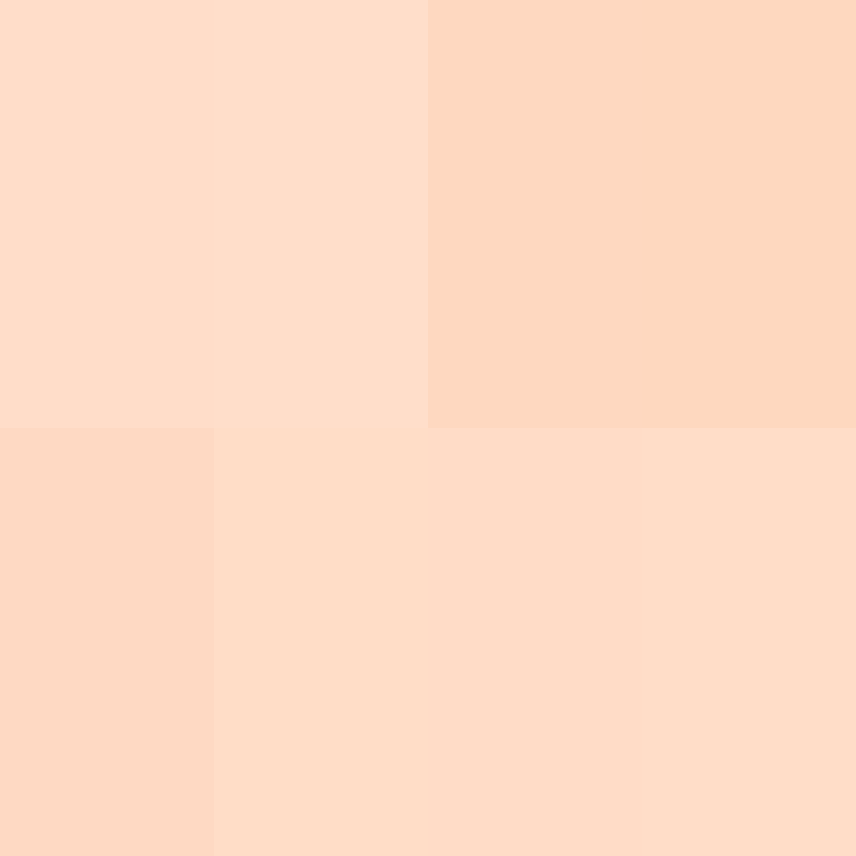 BukkitAPI's skin