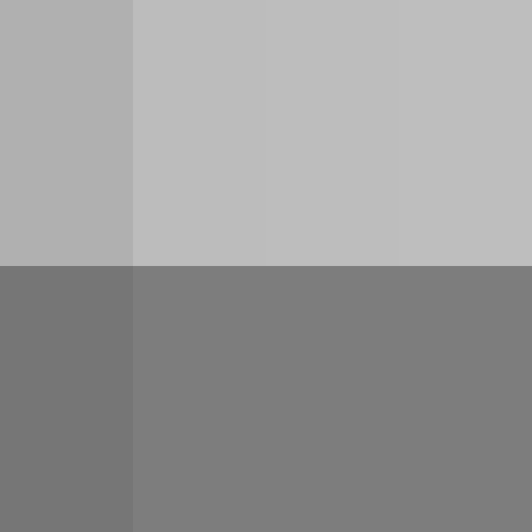 BradBot_2's skin
