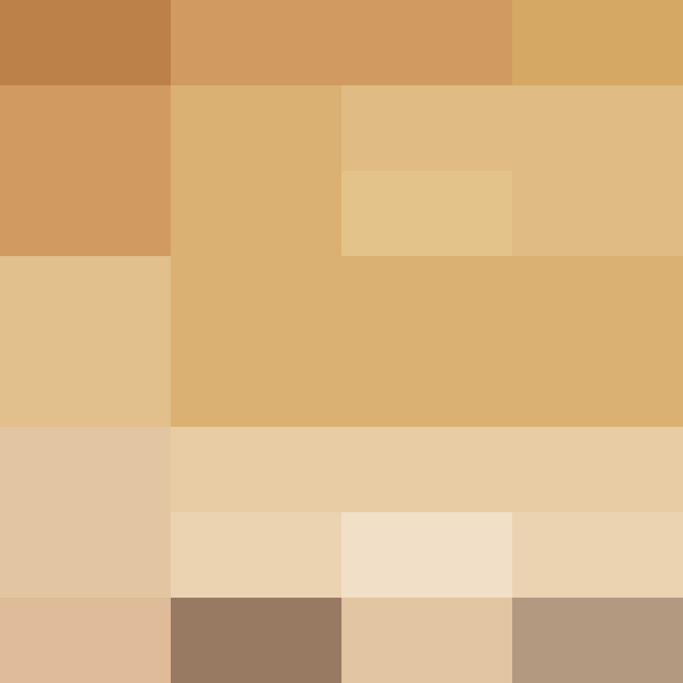 XenokratesRitva's skin