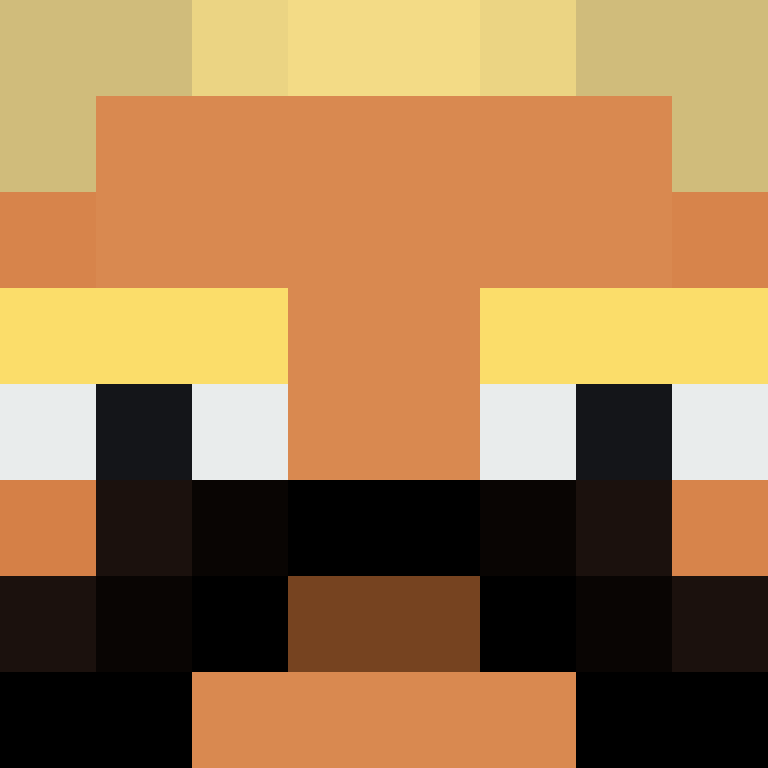 xX_No_Income_Xx's skin