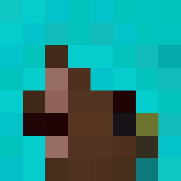 xX_No_Income_Xx's skin