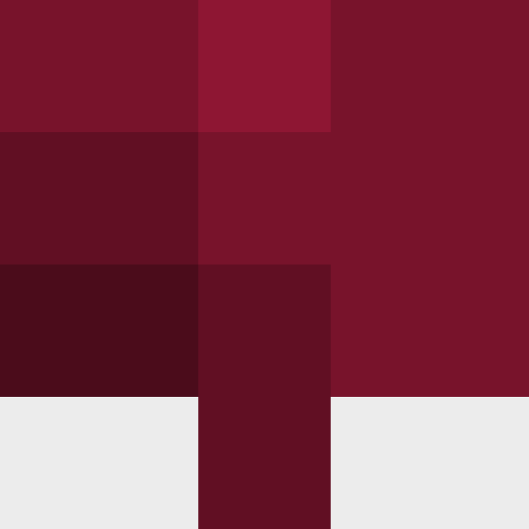 BukkitAPI's skin