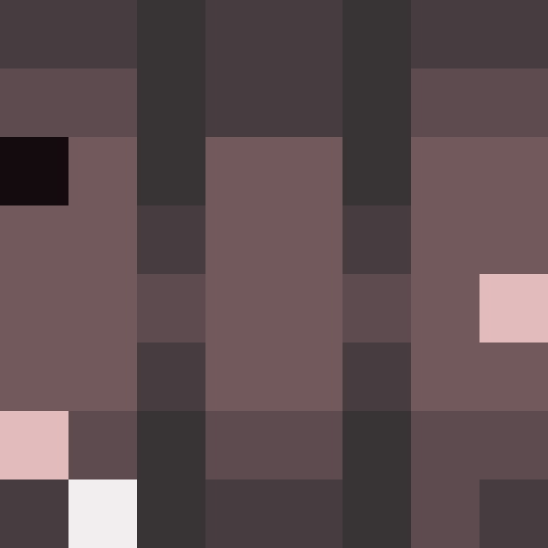 BukkitAPI's skin