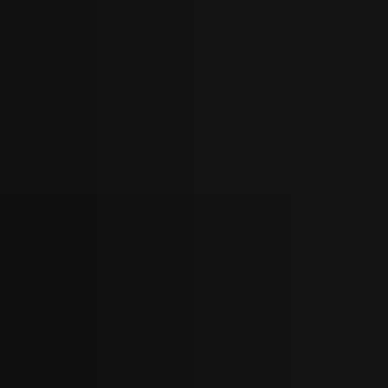 BradBot_2's skin