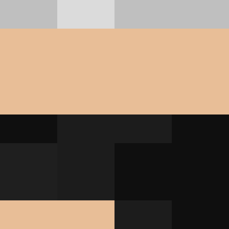 BradBot_2's skin