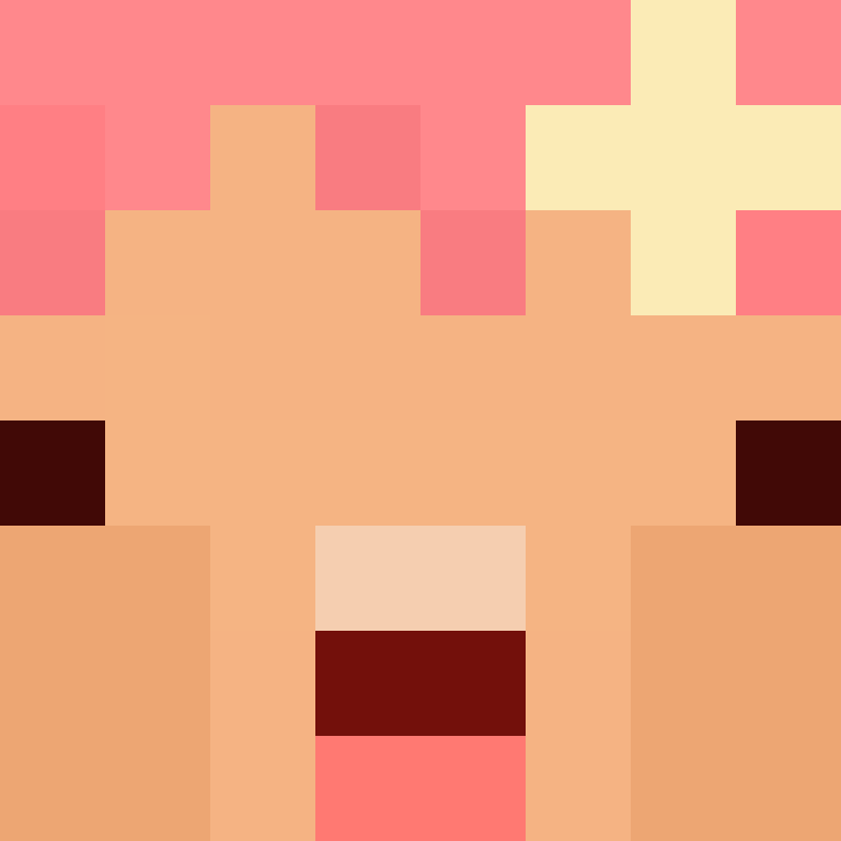 deminecrafterlol's skin