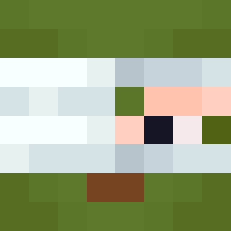 deminecrafterlol's skin