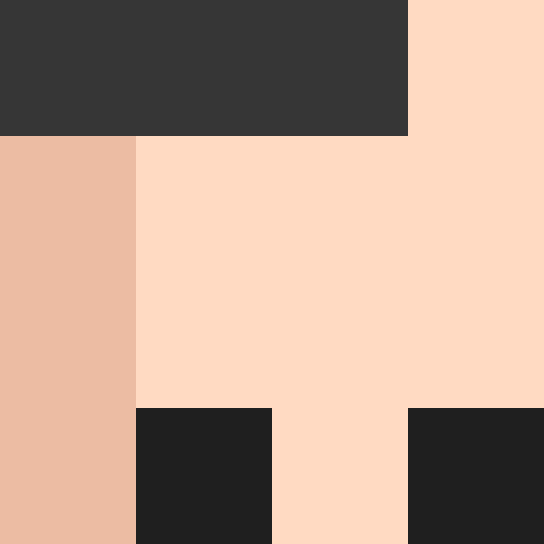 deminecrafterlol's skin