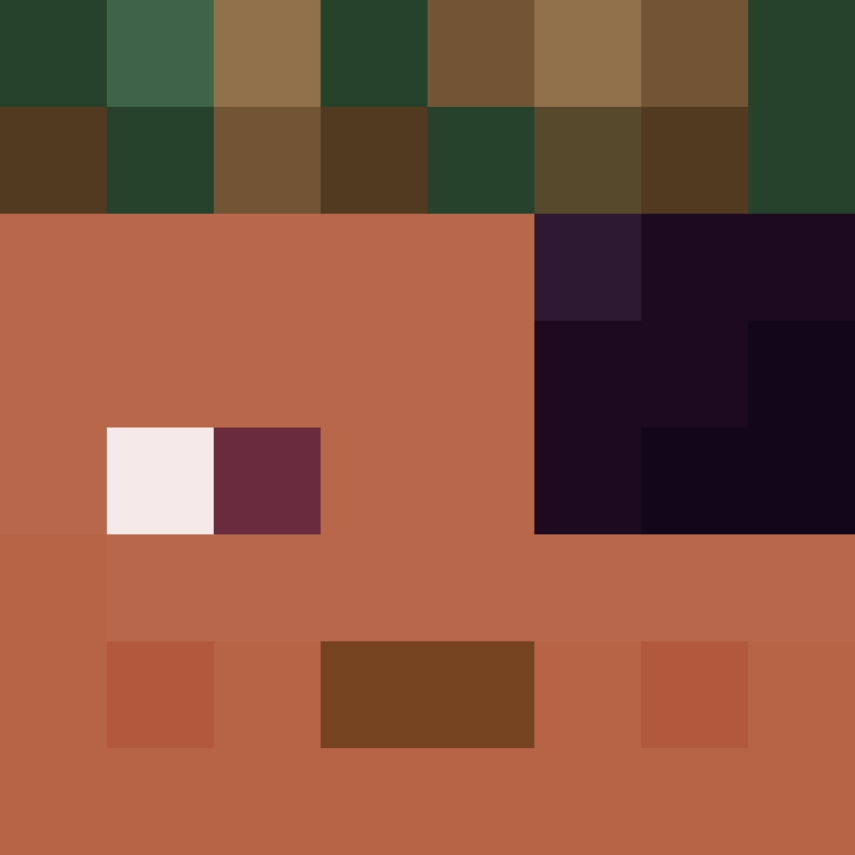 hannhums's skin