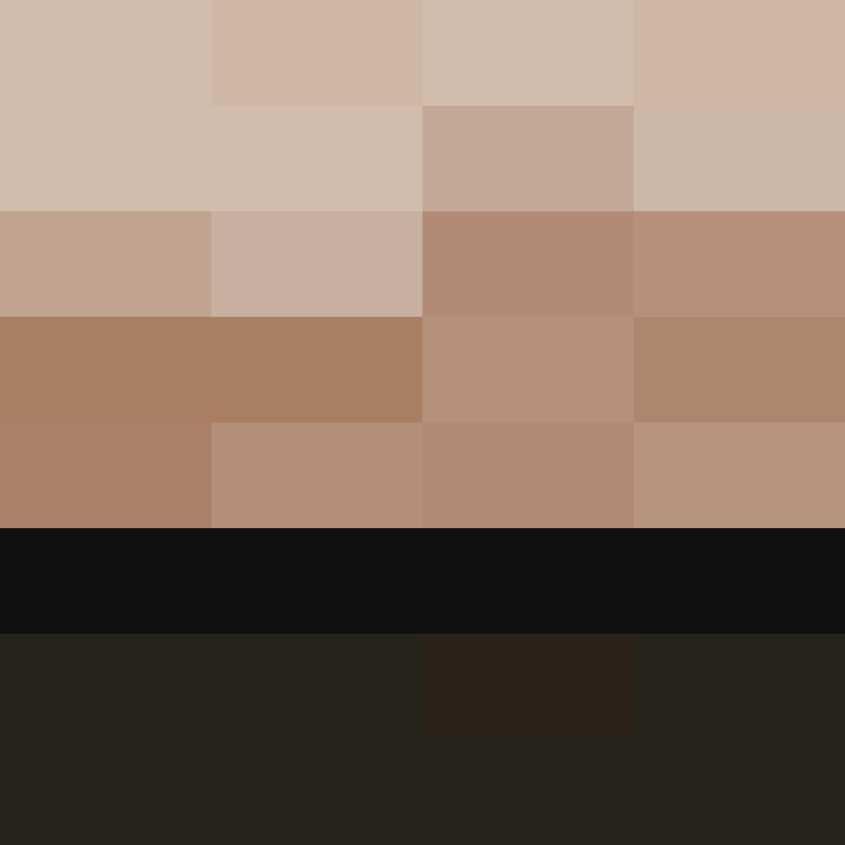 deminecrafterlol's skin