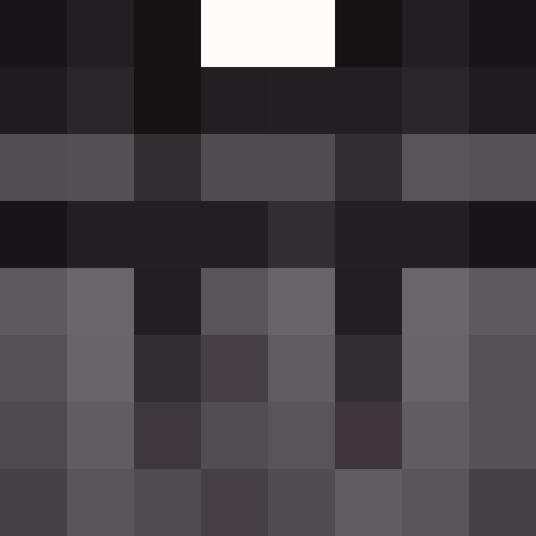 deminecrafterlol's skin