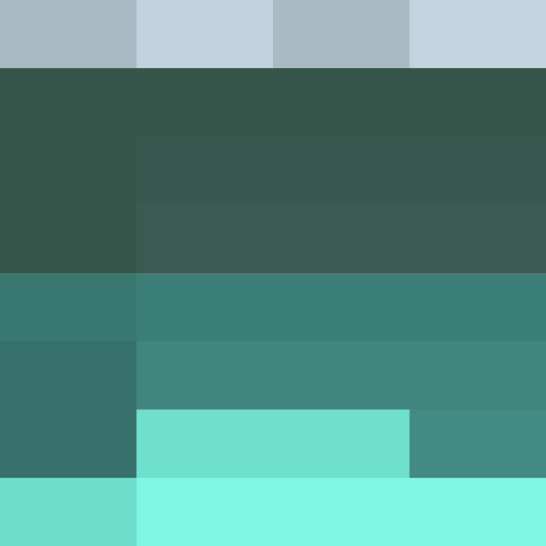 deminecrafterlol's skin