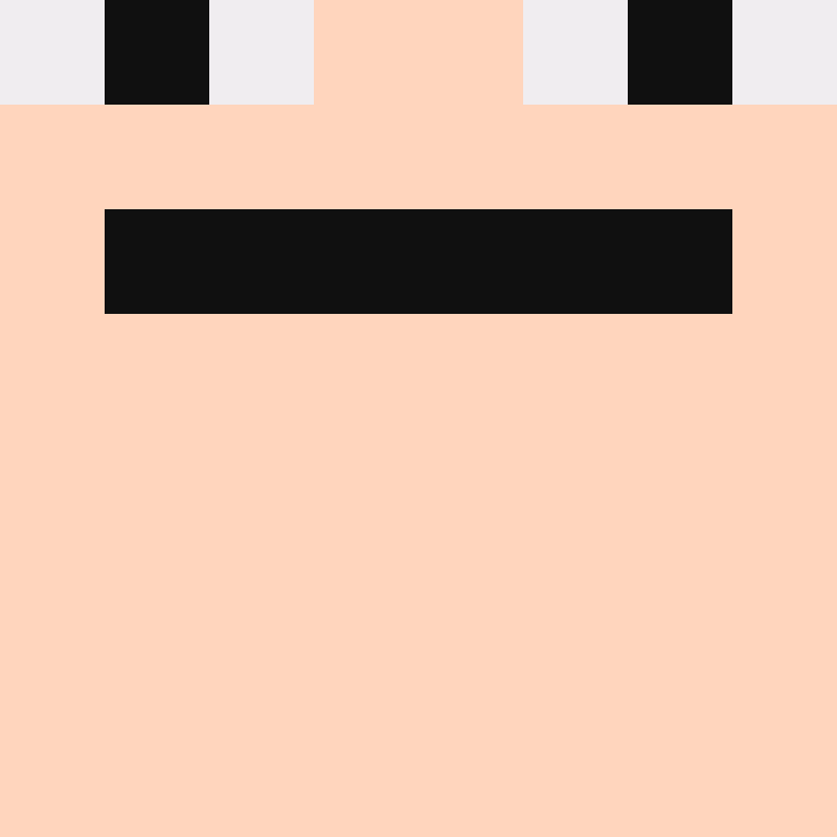 1337bhop's skin