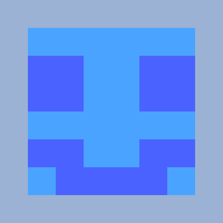 481's skin