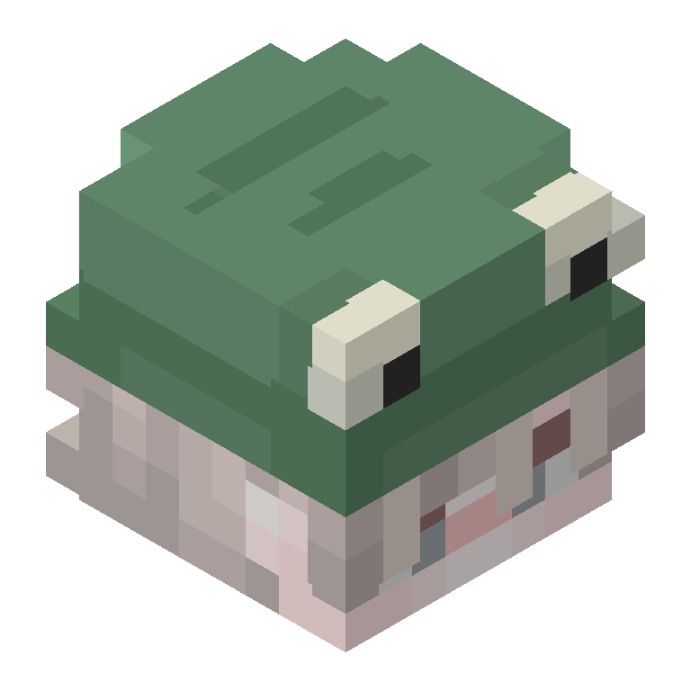 HEAD_ISO