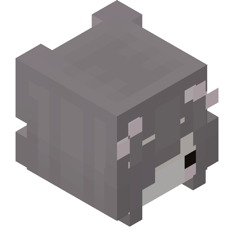 HEAD_ISO
