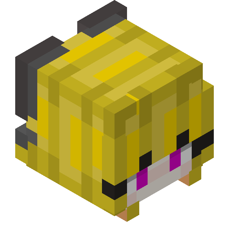 HEAD_ISO