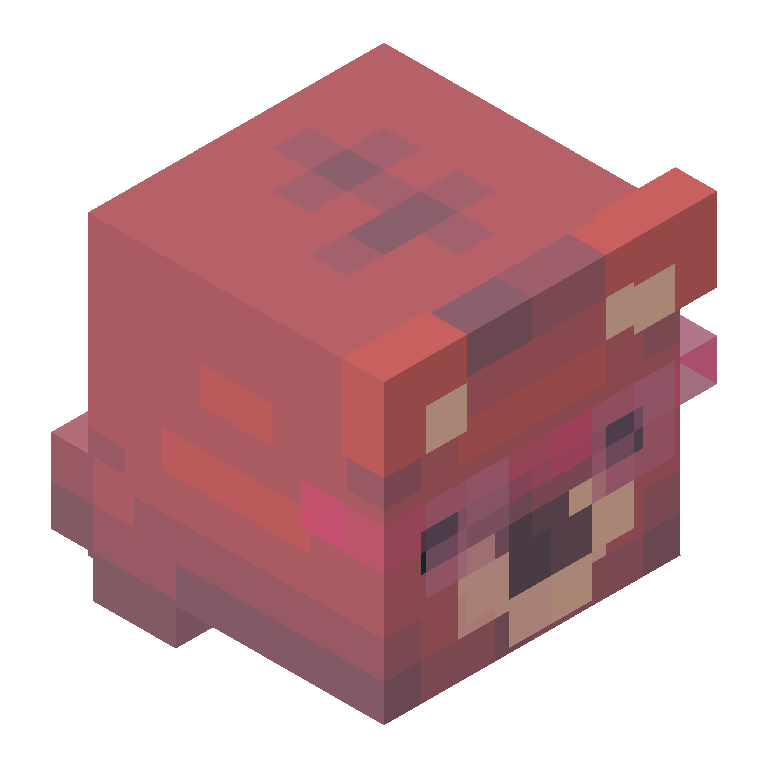 HEAD_ISO