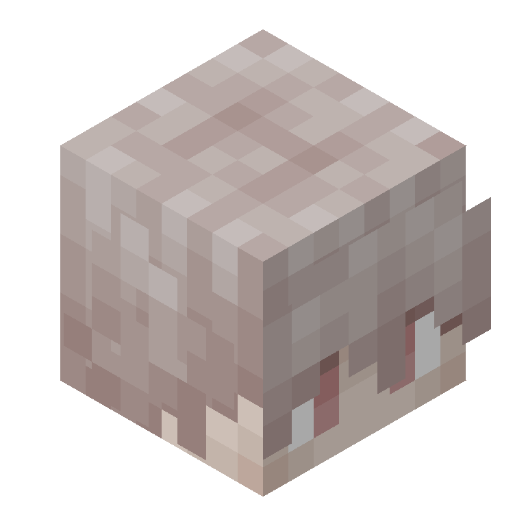 HEAD_ISO