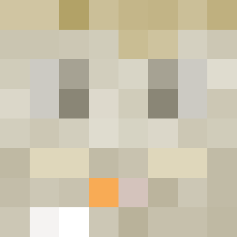 ndhazz's skin