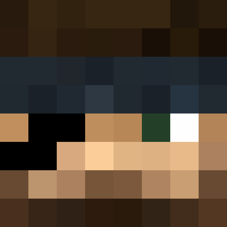 AlterArcher's skin